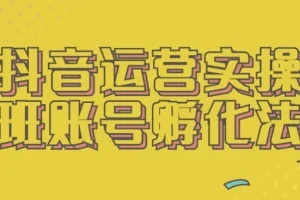 抖音运营实操班：账号孵化全流程实战指南