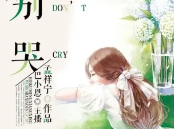 有声小说《别哭》43集全 巴小恩播音