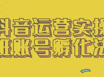抖音运营实操班：账号孵化全流程实战指南