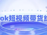TikTok短视频带货线上课，深度拆解TK投流与达人合作策略