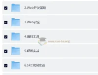 网络安全大师课2025版