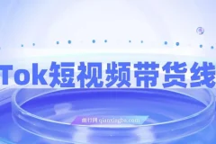 TikTok短视频带货线上课，深度拆解TK投流与达人合作策略