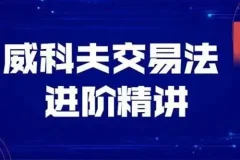 飞云金教《威科夫量价分析》交易实战课程