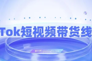 TikTok短视频带货线上课，深度拆解TK投流与达人合作策略