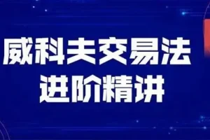 飞云金教《威科夫量价分析》交易实战课程