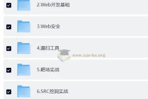 抖码课程A+B+C+D合集：基础内功系列与数据库系列完整收录