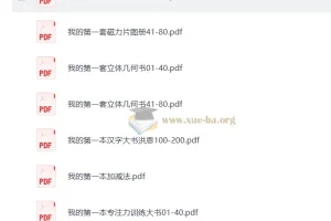 幼小衔接启蒙必备：我的第一本系列（数学、汉字、专注力训练）
