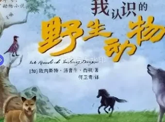 儿童故事《我认识的野生动物》118集完整版 欧内斯特·汤普生·西顿经典动物小说有声书