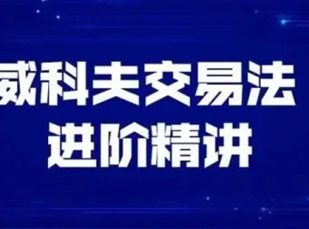 飞云金教《威科夫量价分析》交易实战课程