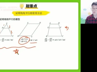 2024高一数学寒假特训班：杨震精讲向量、几何与概率