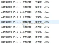 2026届高考物理三轮冲刺大题预测精练