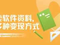 卖软件资料变现全攻略：新手入门与多种盈利模式解析