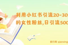 小红书精准引流攻略：20-30岁女性粉丝日增500+实操指南