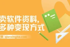 卖软件资料变现全攻略：新手入门与多种盈利模式解析