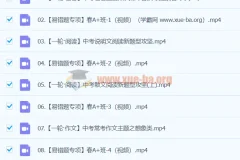 杨荷语文2024初三中考语文A+寒假班（春上）系统课程