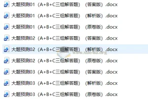2026届高考物理三轮冲刺大题预测精练