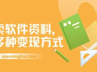 卖软件资料变现全攻略：新手入门与多种盈利模式解析
