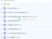 2024高三高考 王羽物理 三轮冲刺 直播+录播课程