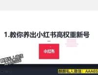 小红书高权重账号养成与精准引流实战课程