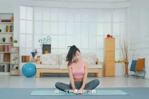 极致瑜伽全6季：系统化瑜伽练习从入门到进阶