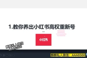 小红书高权重账号养成与精准引流实战课程