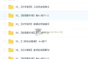 2026初三中考语文春下 人文创作自主学习·TY·A+·嵇聪聪
