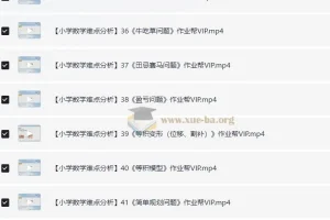 作业帮VIP小学数学考点难点解析：49个核心专题精讲