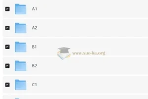 开言英语A1-C2全级别录播课+配套讲义，系统提升英语实战能力