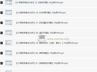 作业帮VIP小学数学考点难点解析：49个核心专题精讲