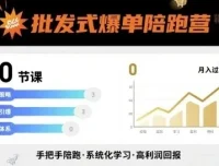 批发式爆单陪跑营：20节实战课拆解私域成交与社群运营全流程