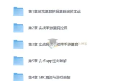 游戏漏洞挖掘实战教程：端游、页游、手游逆向技术全解析