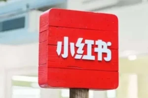 小红书电商课程：笔记带货与店铺运营全攻略