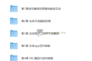 游戏漏洞挖掘实战教程：端游、页游、手游逆向技术全解析