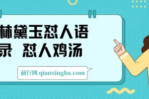 林黛玉怼人语录AI创作素材包：提示词文案库+视频图片模板，副业变现全攻略