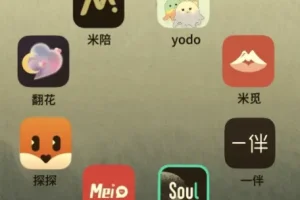 社交软件玩法大全：Soul/陌陌/探探/世纪佳缘/MarryU/tinder/她说/积木全平台攻略合集