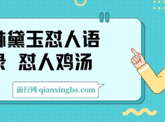 林黛玉怼人语录AI创作素材包：提示词文案库+视频图片模板，副业变现全攻略