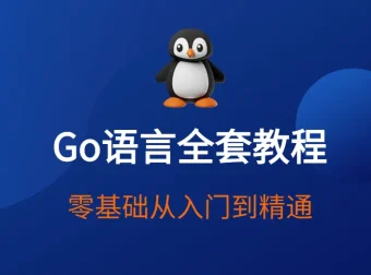 赵珊珊Go语言汇编视频课程：从入门到底层优化实战