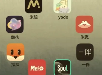 社交软件玩法大全：Soul/陌陌/探探/世纪佳缘/MarryU/tinder/她说/积木全平台攻略合集
