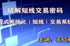 王红英期货日内短线交易技术波段战法视频教程