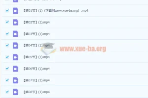 楷书入门必学：多宝塔碑20讲高清视频教程