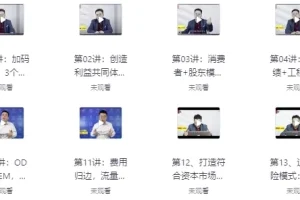 商业模式创新案例大全94讲：实战拆解全球标杆企业盈利模式