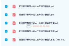 阳光同学默写小达人（2024春版）小学语文下册全年级练习册及答案