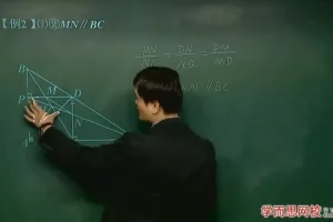朱韬初二数学竞赛班：三角形五心与定理精讲