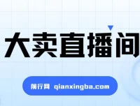 大卖直播间：抖音直播盈利与流量增长实战教程