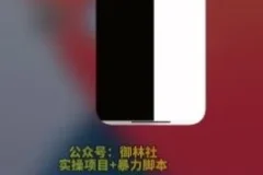 手机视频搬运教程：轻松过原创，快速上热门