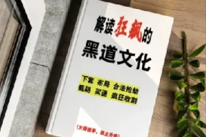 解读《狂飙》中的黑道文化：隐藏的生存法则与权力逻辑