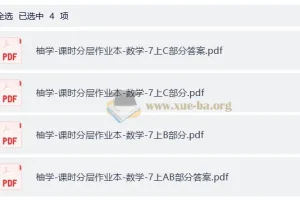 初中数学七年级课时分层作业本（含答案详解）