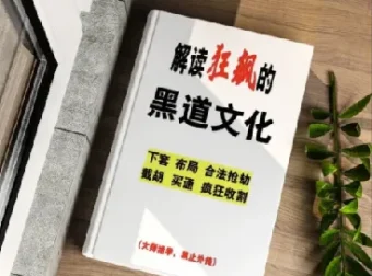 解读《狂飙》中的黑道文化：隐藏的生存法则与权力逻辑