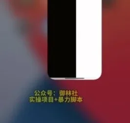手机视频搬运教程：轻松过原创，快速上热门