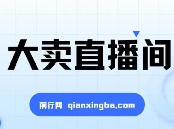 大卖直播间：抖音直播盈利与流量增长实战教程